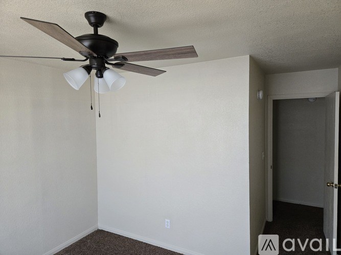 A room with a ceiling fan and a carpeted floor.