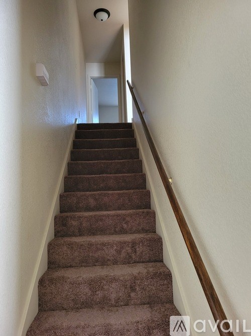 A staircase with a carpeted runner and wooden handrail.