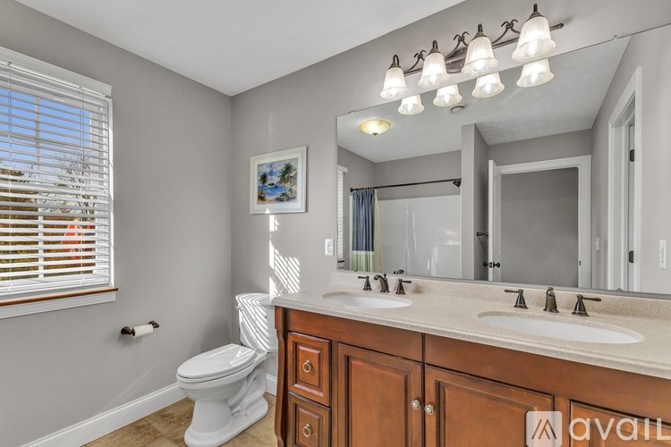 A room with a staircase and a plant on a table.