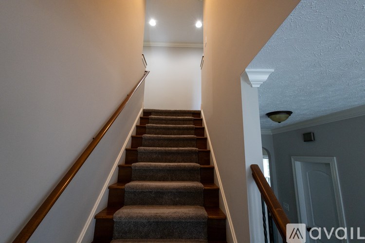 A staircase with a carpeted runner and wooden handrails.
