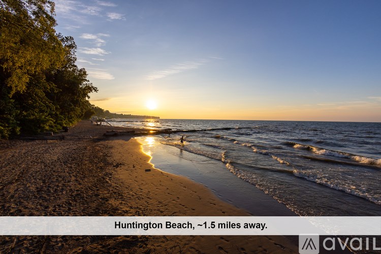 A room with a ladder and boxes on the floor.