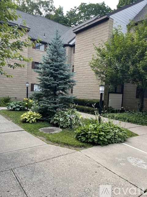 181 Loomis Drive 2 Beds Apartment for Rent
