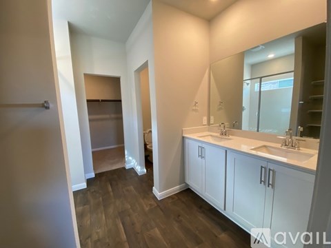 A bathroom with a vanity and a walk-in closet.