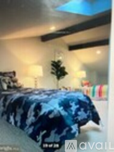 A bed with a blue and white patterned comforter sits in a room with a small potted plant on the bedside table.