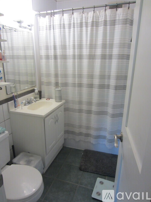 A bathroom with a toilet, sink, and shower curtain.