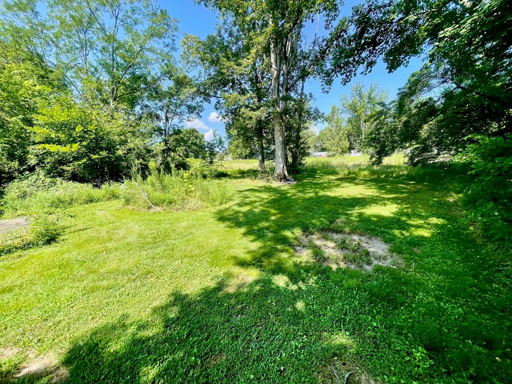 A lush green field with trees and a clear blue sky.
