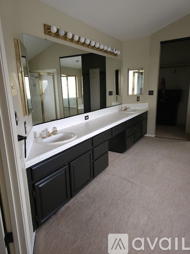 A bathroom with a vanity and a mirror.