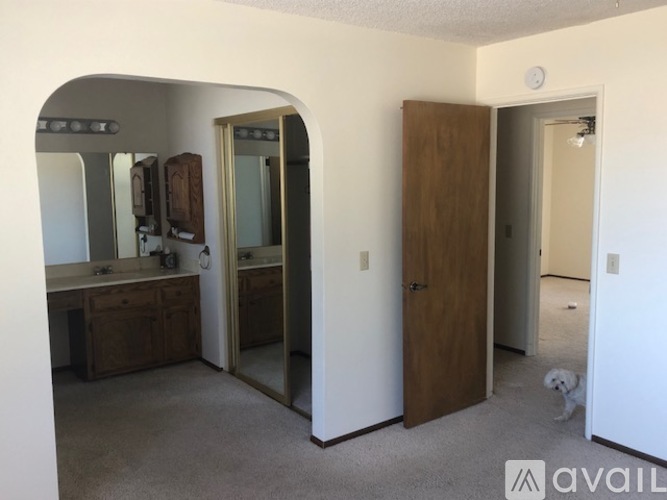 A bedroom with a vanity and a dog.