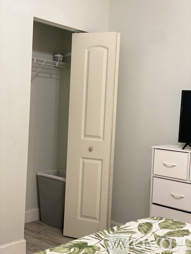 A white door is open to a small closet.