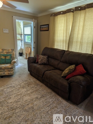A living room with a brown couch and a patterned rug.