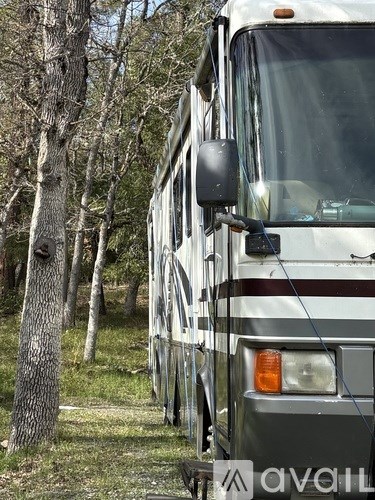 A white bus is parked in a wooded area.