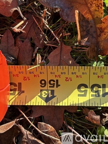 A yellow measuring tape with the number 99 on it is laying on some leaves.