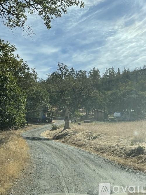A dirt road winds through a rural landscape with trees and grass on either side.