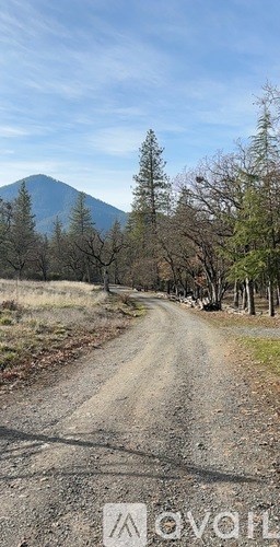 A dirt road leads towards a mountain with trees on either side.