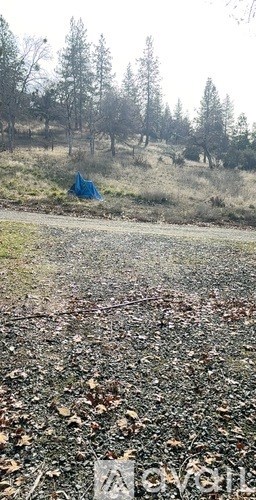 A blue tent is set up in a grassy field with trees in the background.