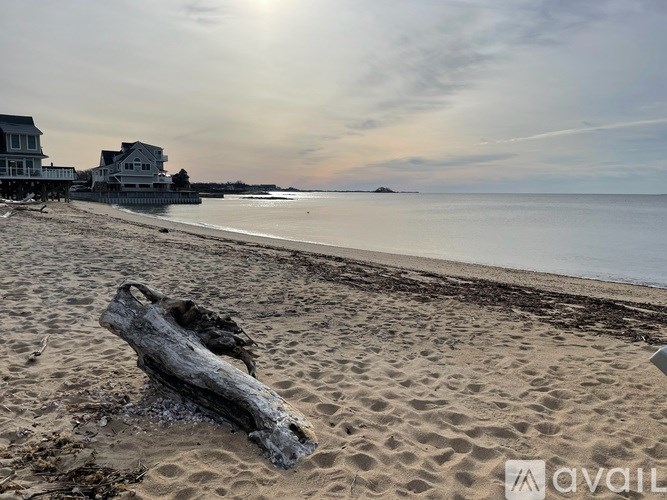 A beach scene with a log in the sand and houses in the background.