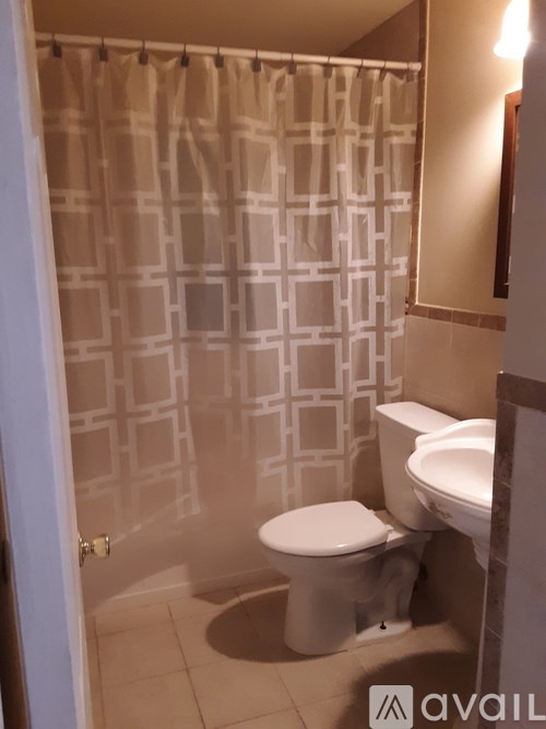 A bathroom with a toilet and a shower curtain.