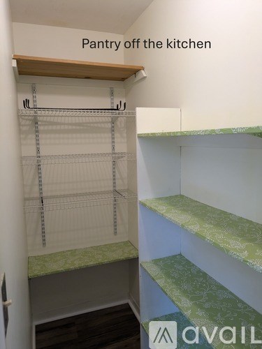 A pantry off the kitchen with shelves and a counter.