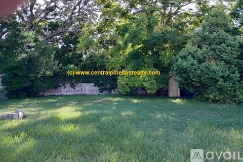 A grassy field with trees and a fence in the background.