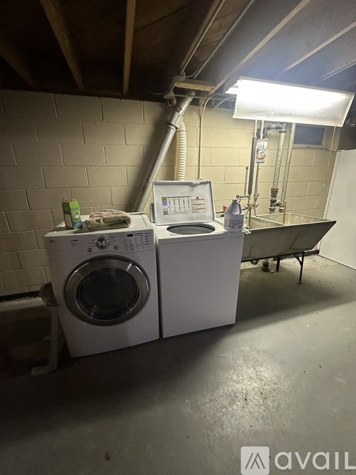 A washing machine and dryer are sitting in a basement.