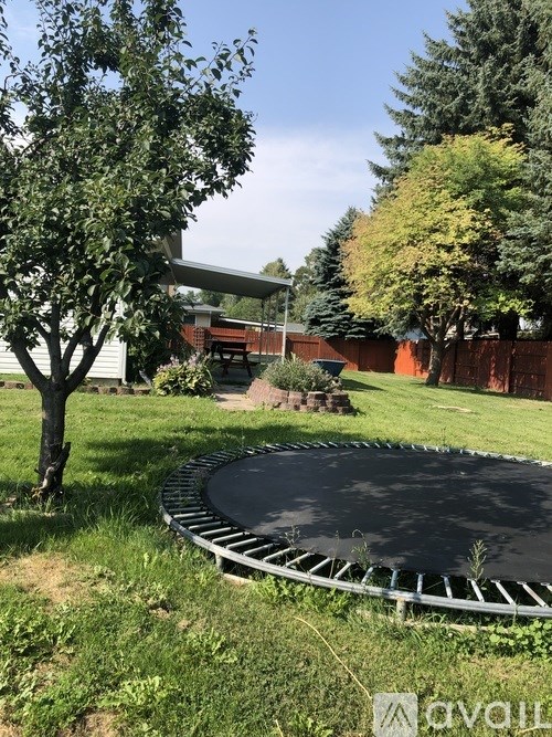 A trampoline in a backyard surrounded by trees.
