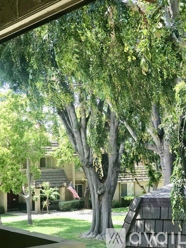 A tree with green leaves in front of a house.