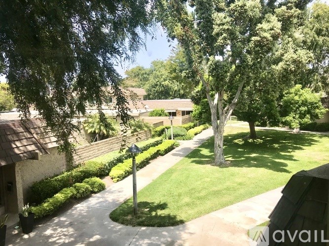 A tree in a yard with a house in the background.