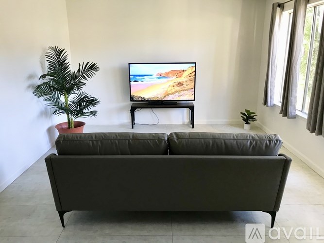 A black couch in front of a television with a plant to the left.