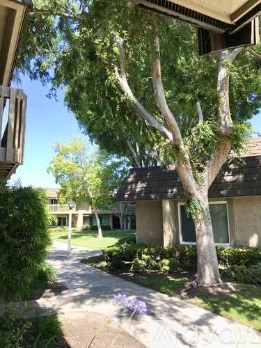 A tree with a house in the background.
