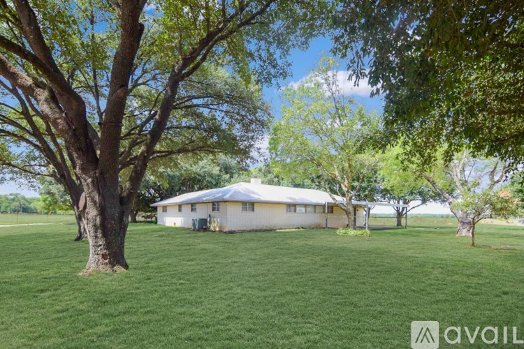 A tree in a field with a white building in the background.
