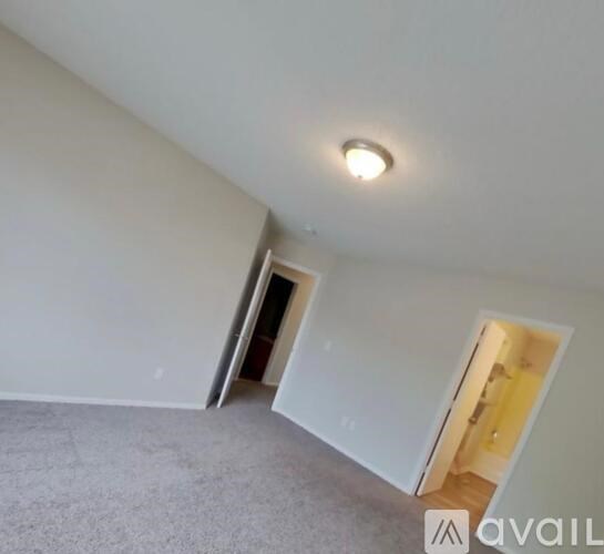 A room with a carpeted floor and a ceiling light.