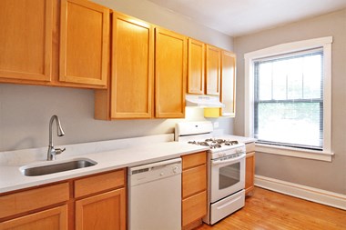 262 S. Marion St. 1 Bed Apartment for Rent