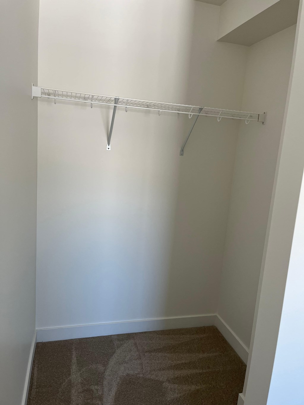 A white closet with a shelf and a carpeted floor.