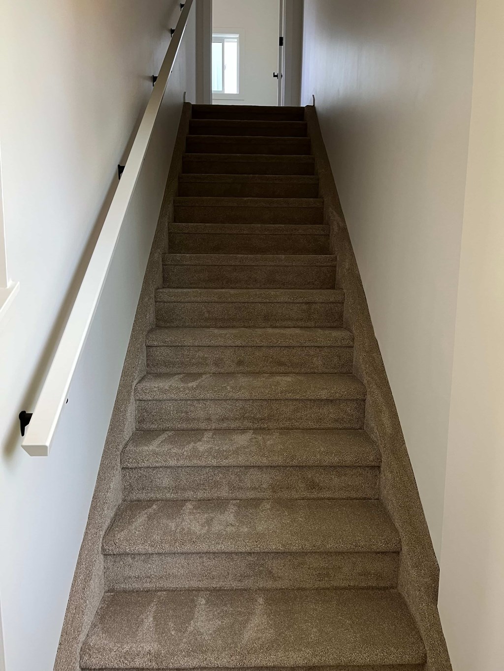 A staircase with a white handrail and beige carpeted steps.