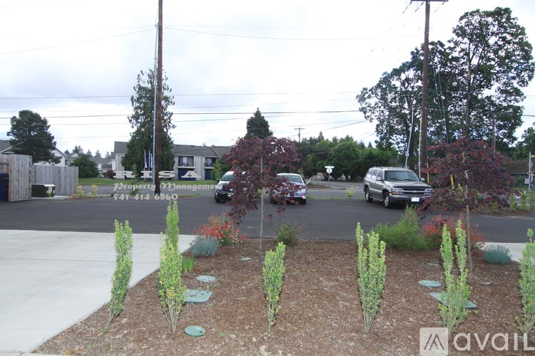 A street view with a sign for Avail property management.