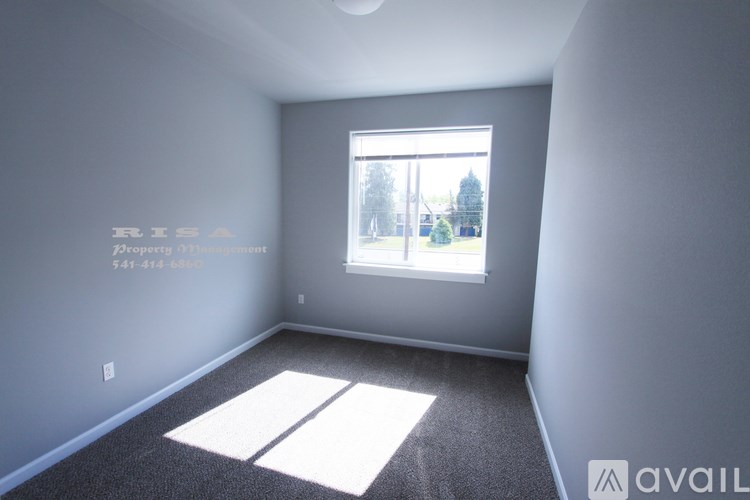 A room with a window and a carpeted floor.