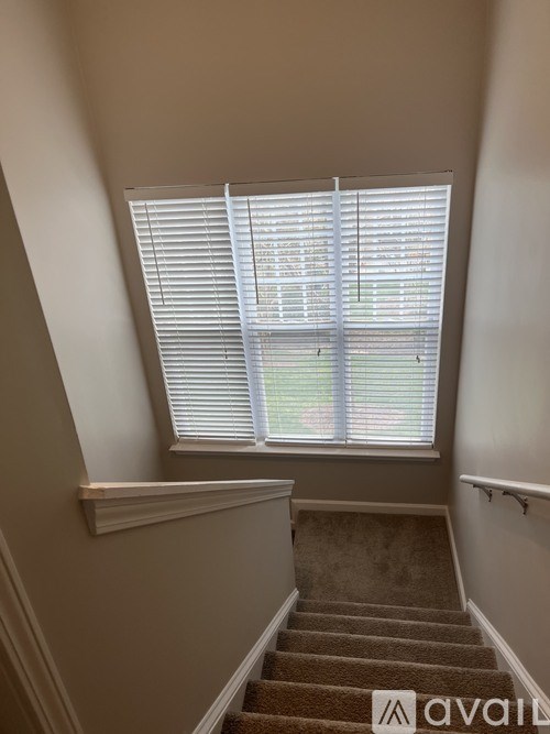 A staircase with a carpeted runner and a window with blinds.