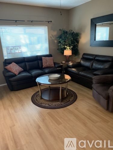 A living room with a black couch, a coffee table, and a plant.