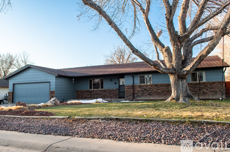 A house with a grey roof and a tree in front.