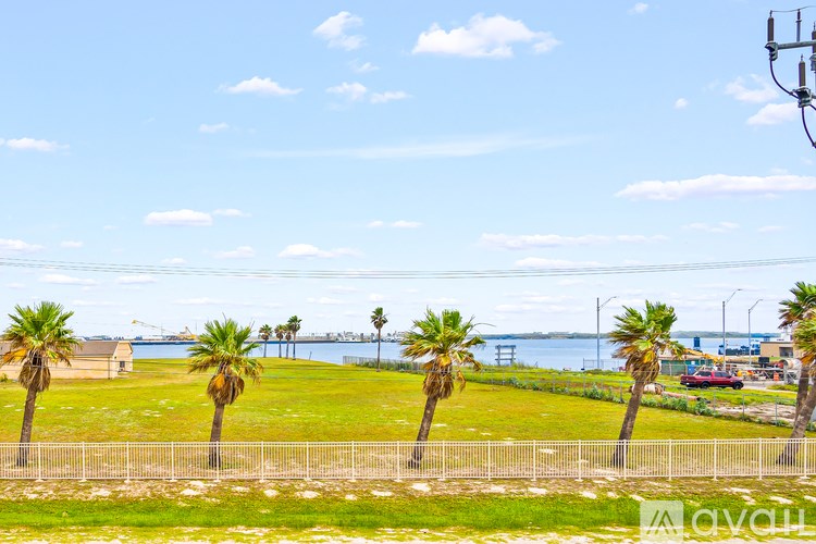 A field with palm trees and a fence in front of a body of water.