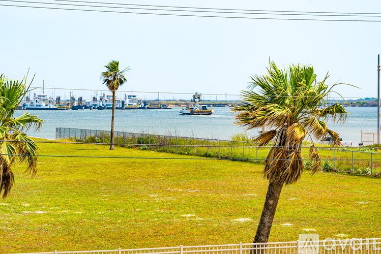 A palm tree stands in a grassy field with a view of a harbor and boats in the distance.