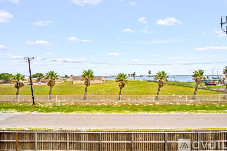 A row of palm trees in front of a fence.