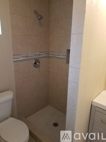 A bathroom with a toilet, a shower, and a cabinet.