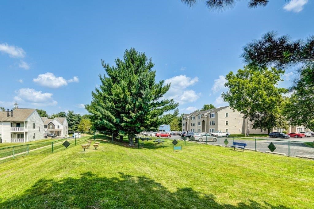 a park with a tree in the middle of a grass field