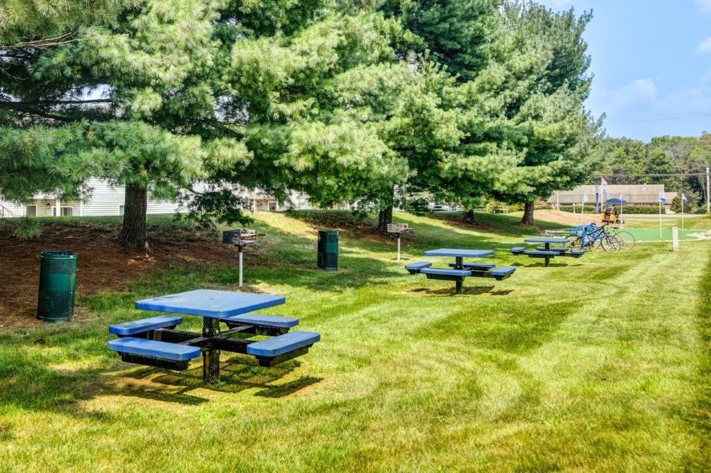 a group of picnic tables in a park