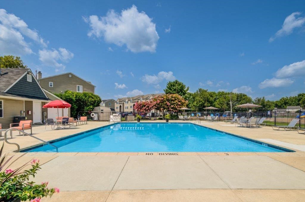 the swimming pool at the apartments for rent