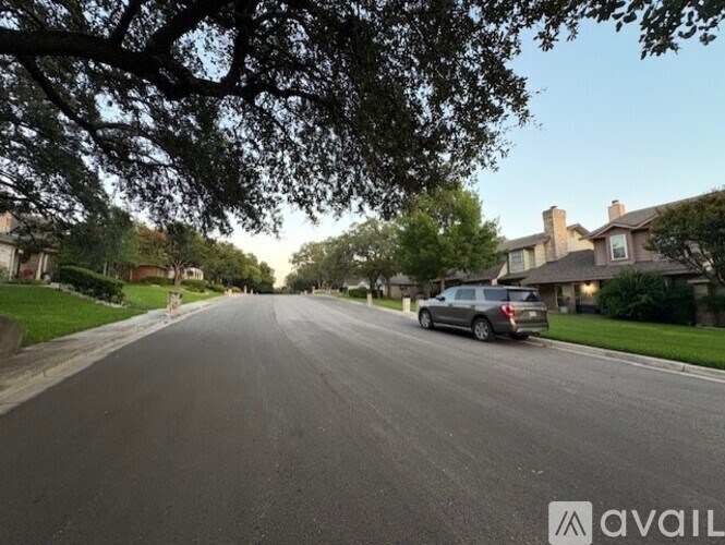 A car is driving down a tree-lined street.