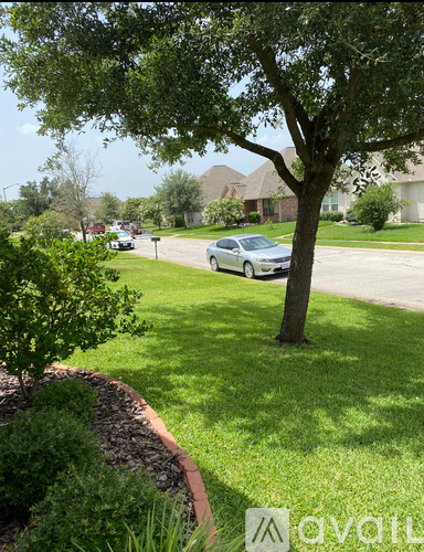 A tree in a yard with a car parked behind it.