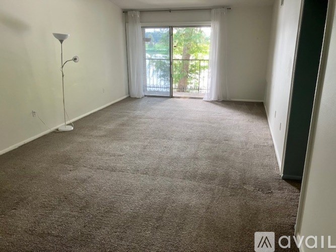 A carpeted room with a lamp and sliding glass doors.