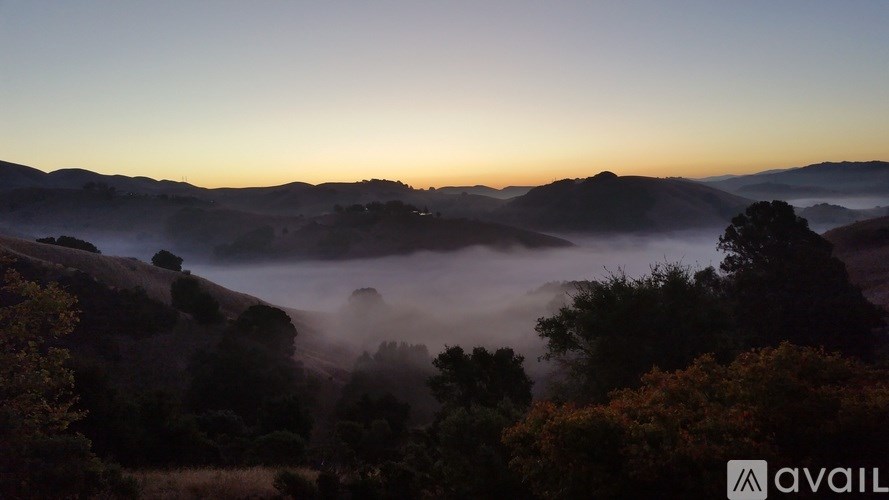 A landscape with trees and hills covered in fog during sunrise or sunset.